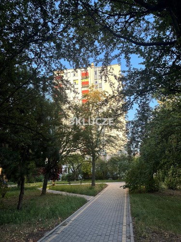 - Mieszkanie do wynajęvia Lublin LSM 3 pokoje